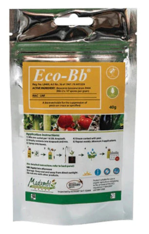 Eco-BB 40g